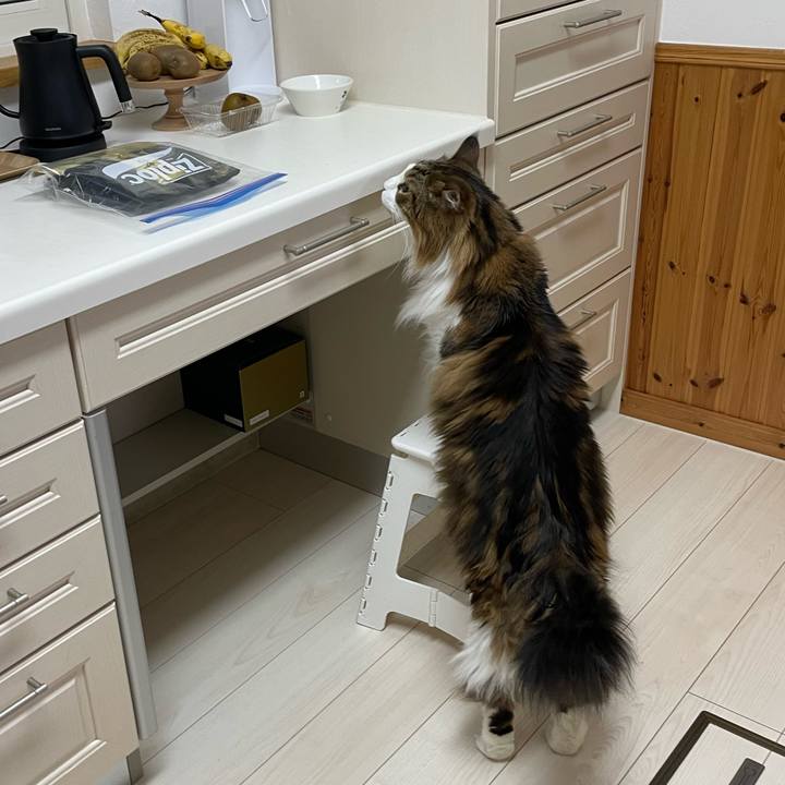 1e9ff832 ca43 47d5 a70a ec84e57c4774 1739133010188