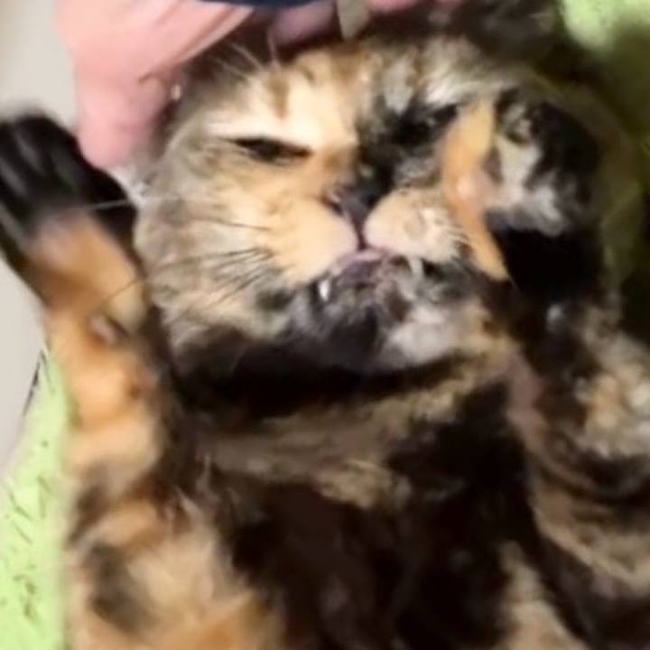 1e9ffd38 f190 4aaf 89f8 14c70dfd0b04 1733775751839