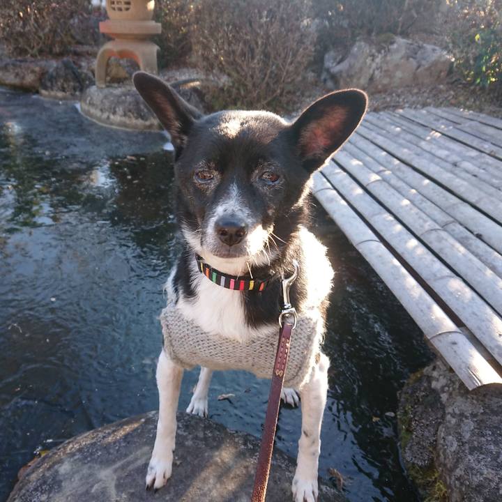 1ea013f0 7996 4a8d 9d9a 06605bc2aabf 1610238558206