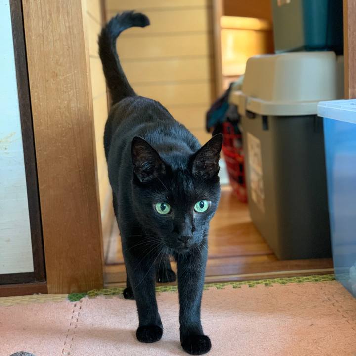 1ea077b8 b918 4a10 9a7c 48ef2826ff8a 1599356927117