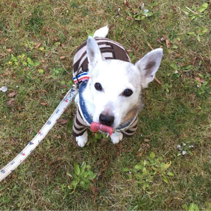 1ea08d1e bd37 4159 9f61 52d522e34f4e 1766443335346