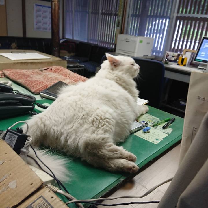 1ea0ad5c b9df 4a06 8373 1d39ab8ab1b4 1563748258876