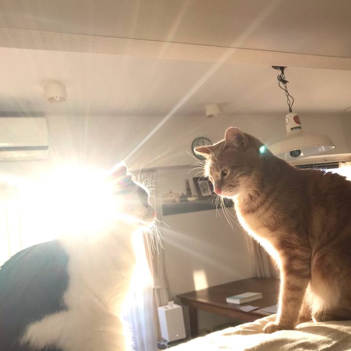 1ea11066 1743 4e57 affd acb837da05c2 1582332797981