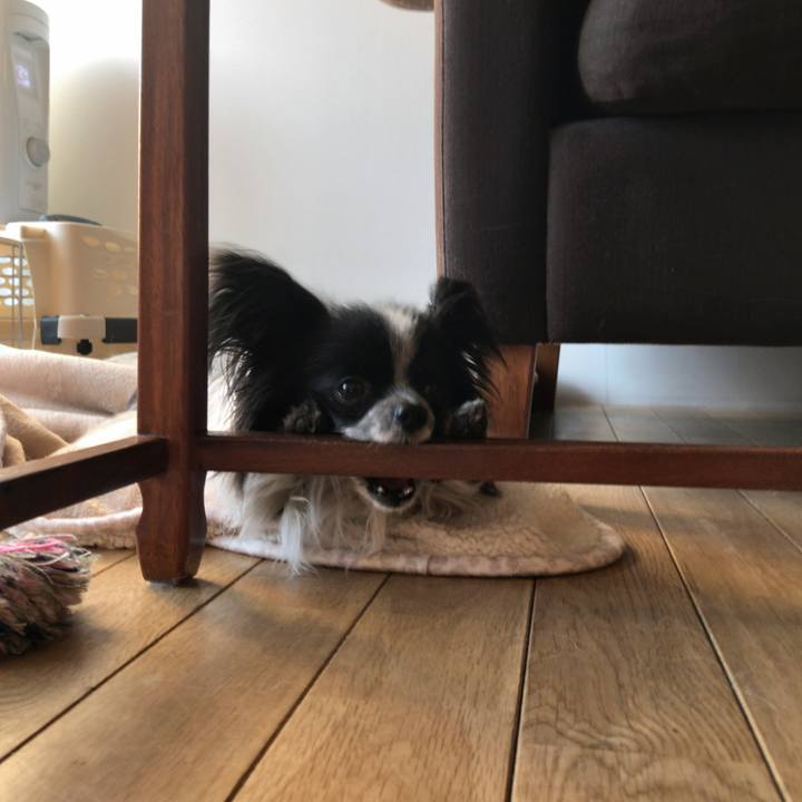 1ea12192 6e4f 4a36 b89c 34186037b0af 1518411492811