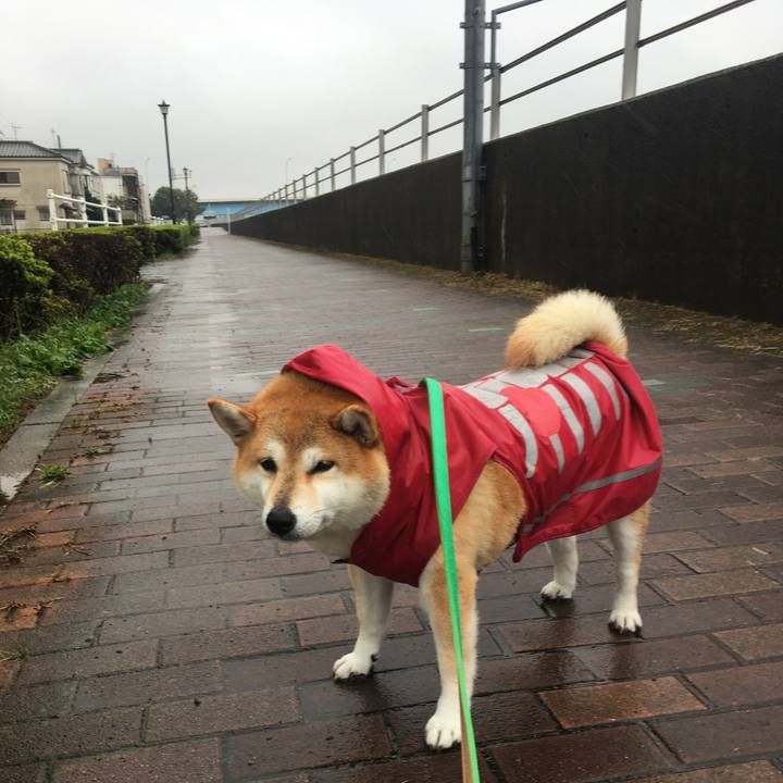 1ea140df 9ee9 4a1e b26d c4edebdb786e 1602305091315