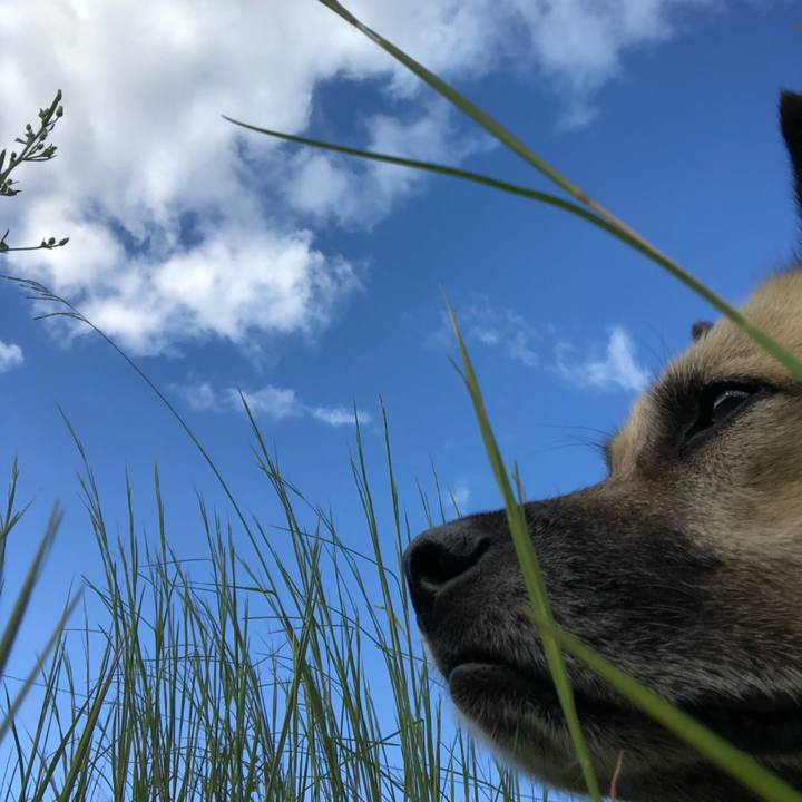 1ea1bb54 d4b5 4f8c bb36 de13aff1302b 1631962500782