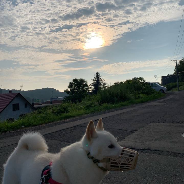 1ea1d733 08f0 4690 a222 0cedab00b478 1564868072294