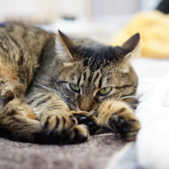 1ea20937 3813 4ac8 adad 3f75aeffae45 1552115494784