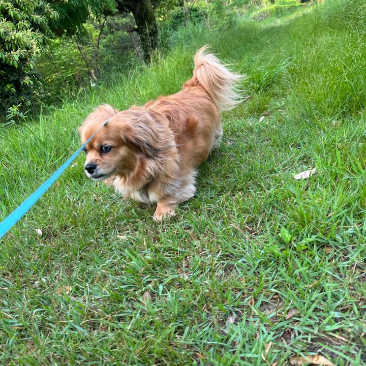 1ea20ba3 73e8 481e 94cd 9b55cfe0bafb 1684877946033