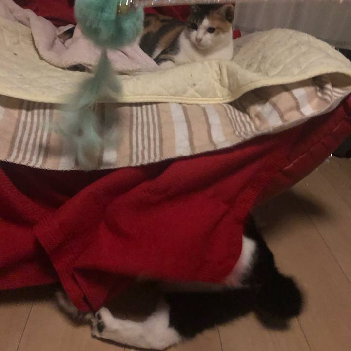 1ea20ff3 06e8 4b3a 8460 bcaa1d73b60d 1606738519744