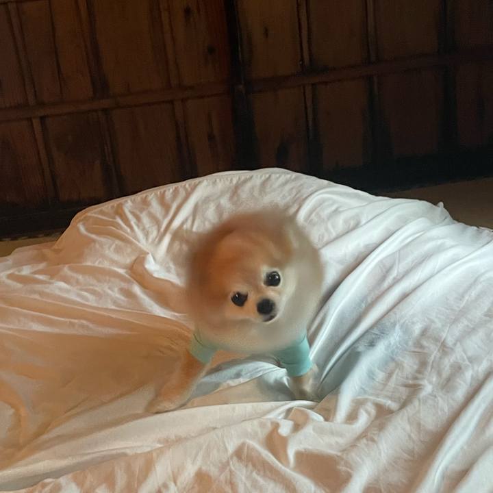 1ea279e0 b553 4b91 a7c7 5a23f2429109 1756593167593