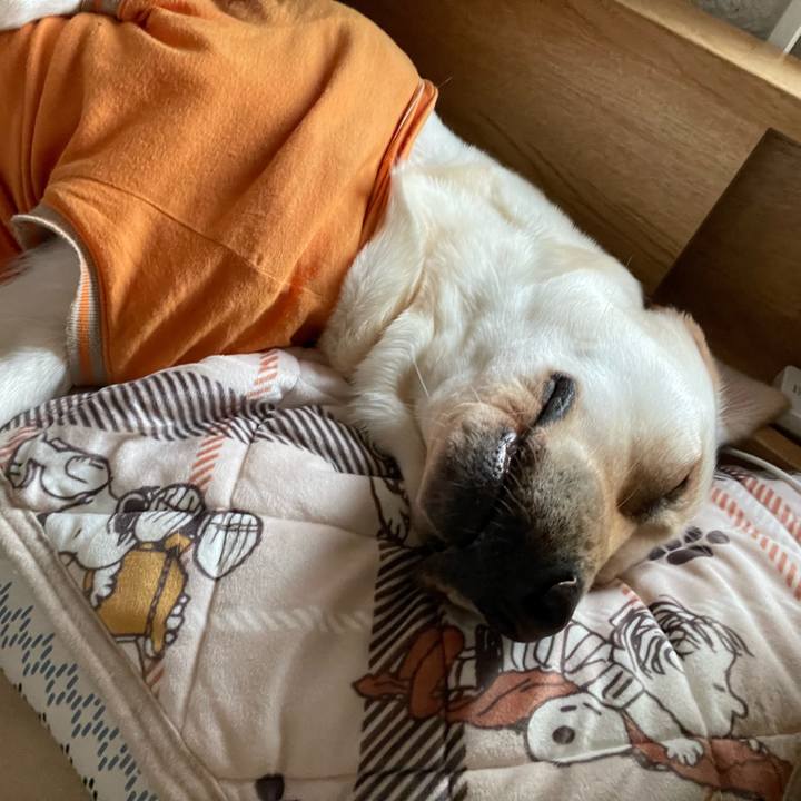 1ea28a7e d698 4abf a466 c8307b94712b 1669788449929