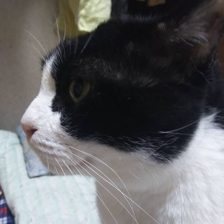 1ea2df3b 04c5 49b5 ae9b 2bf2f764c1e7 1564955333340