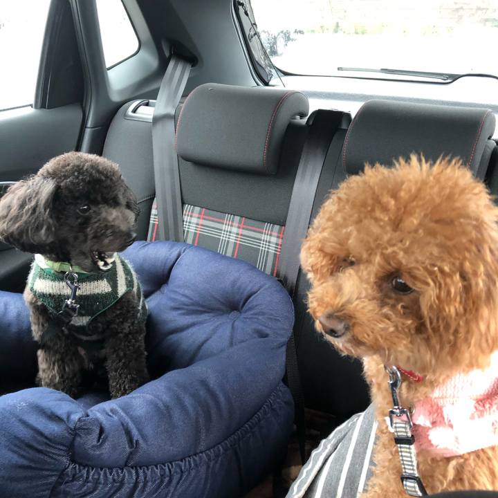 1ea2e92b 2f4c 4cc2 a162 fbf072c332c8 1582941786595