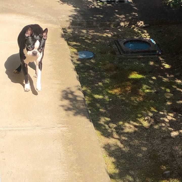 1ea33543 f02a 4599 9098 d9002356319f 1551267395954