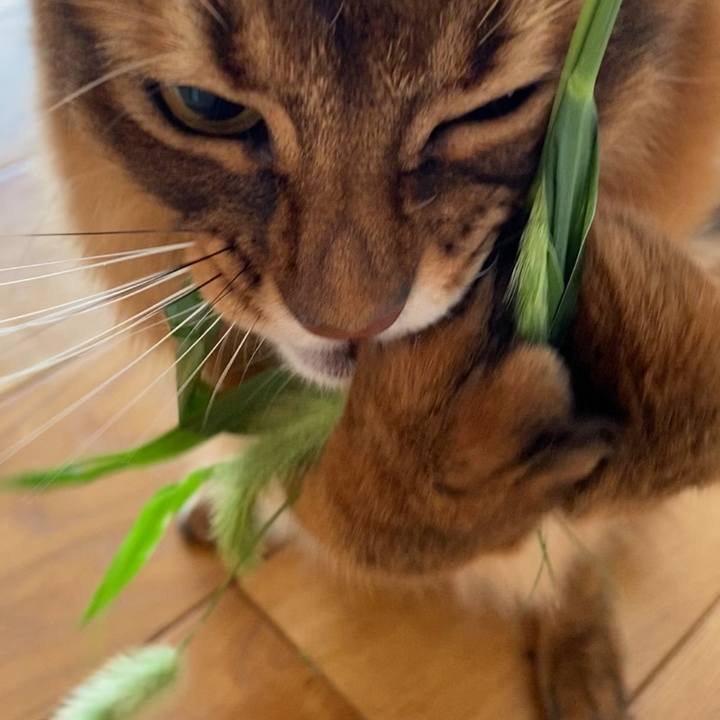 1ea348f7 e370 4a0f 9db6 a74a31536813 1663298701542