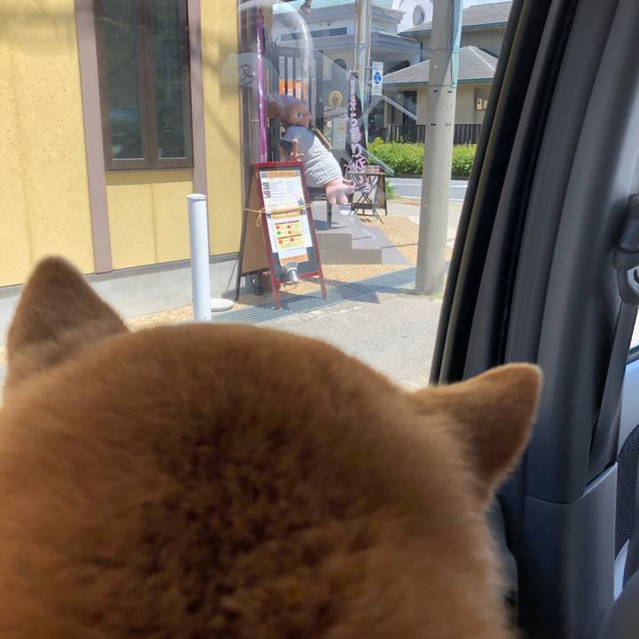 1ea369df fbd3 4238 9261 8e1311120758 1589090591022