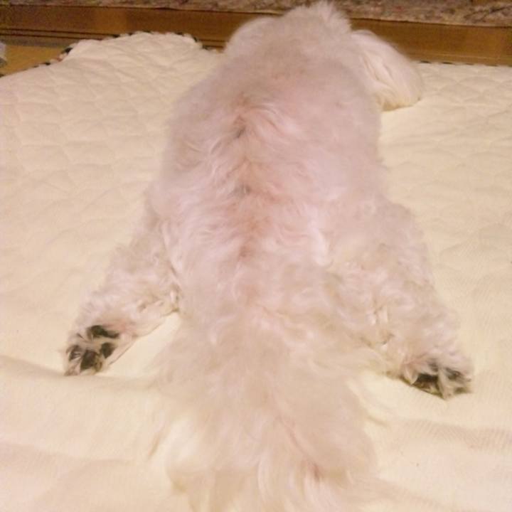 1ea36c2a 8b1c 469f 8312 927920cfb5df 1529154301410