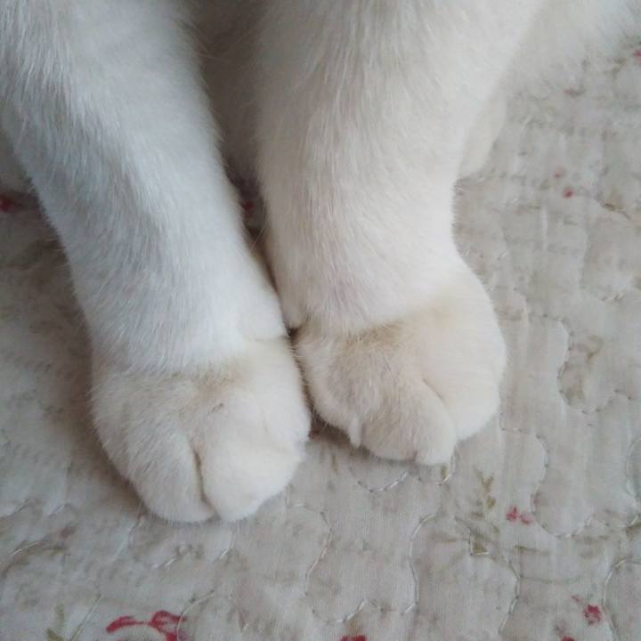 1ea37132 3304 438d 8c83 64d01f58b809 1621299250403