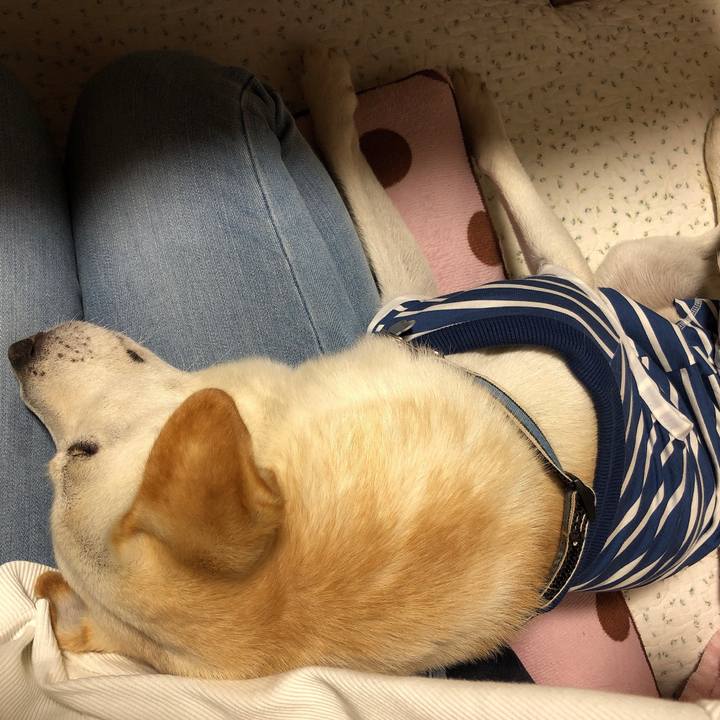 1ea38cc7 01f9 47d2 9557 eb073b069e70 1628809005390