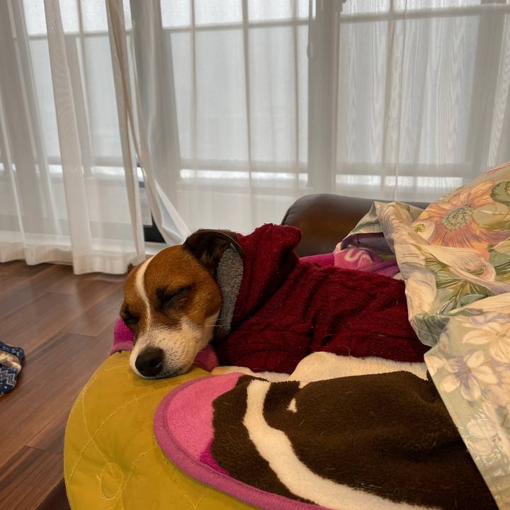 1ea44194 ca2e 4736 9c5c fe307c4439bf 1645139629488