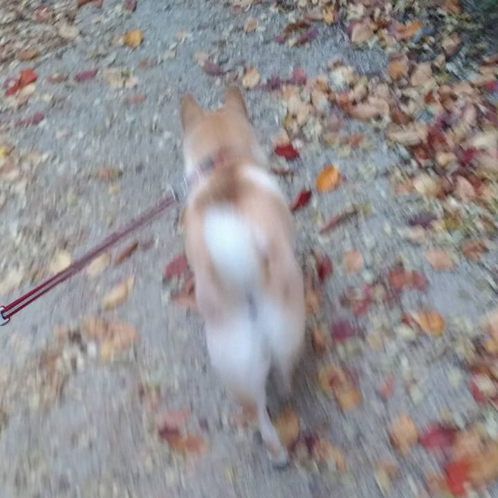 1ea44e31 914f 4a58 b1db 99df551bd9ba 1605479580428