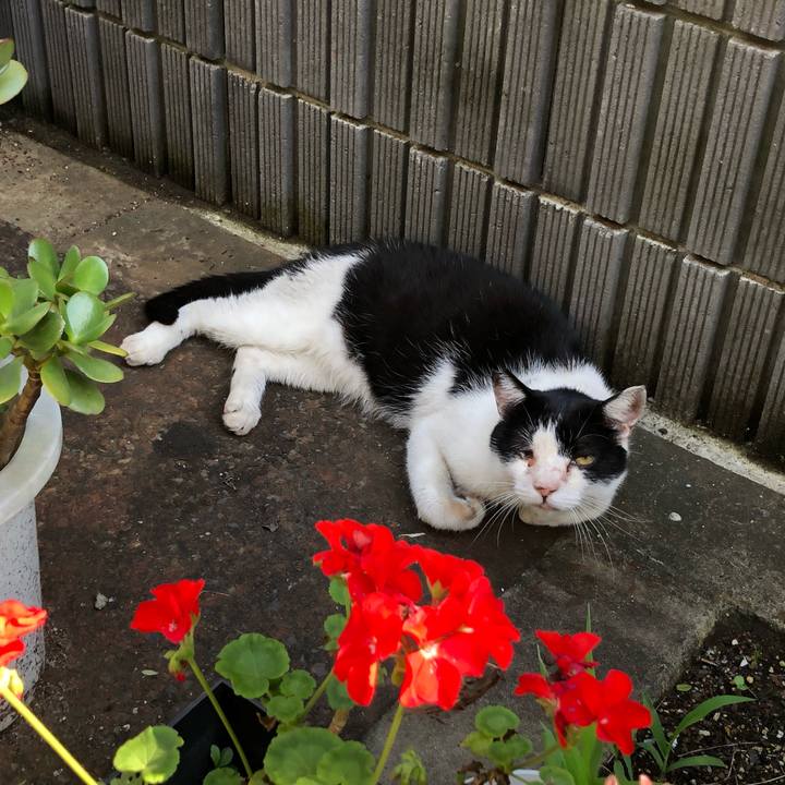 1ea4594c 79a5 490b 86a2 b1f1824e35f9 1626244186913