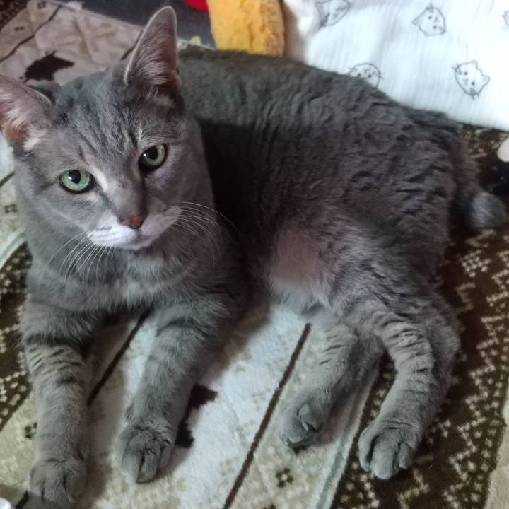 1ea48e54 7e61 47c9 877a 88d8a6673816 1681266143495