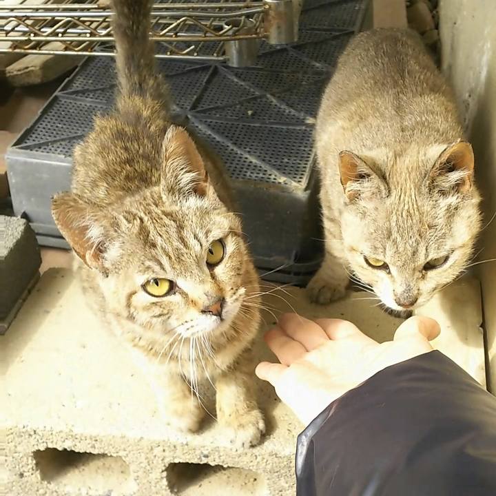 1ea4963e c383 41a9 af66 0aaca6284776 1519527938949