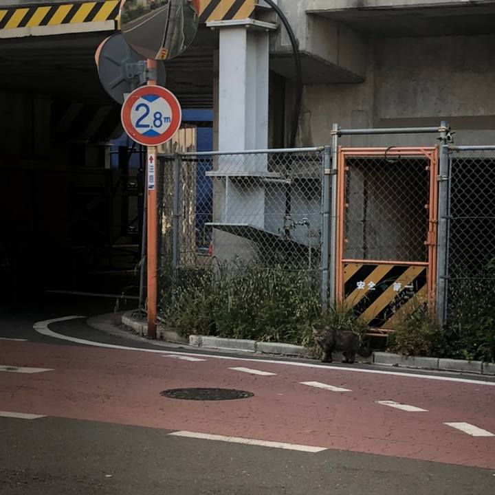 1ea4a359 b7d9 494b b3f9 dbee88bea854 1558367861586