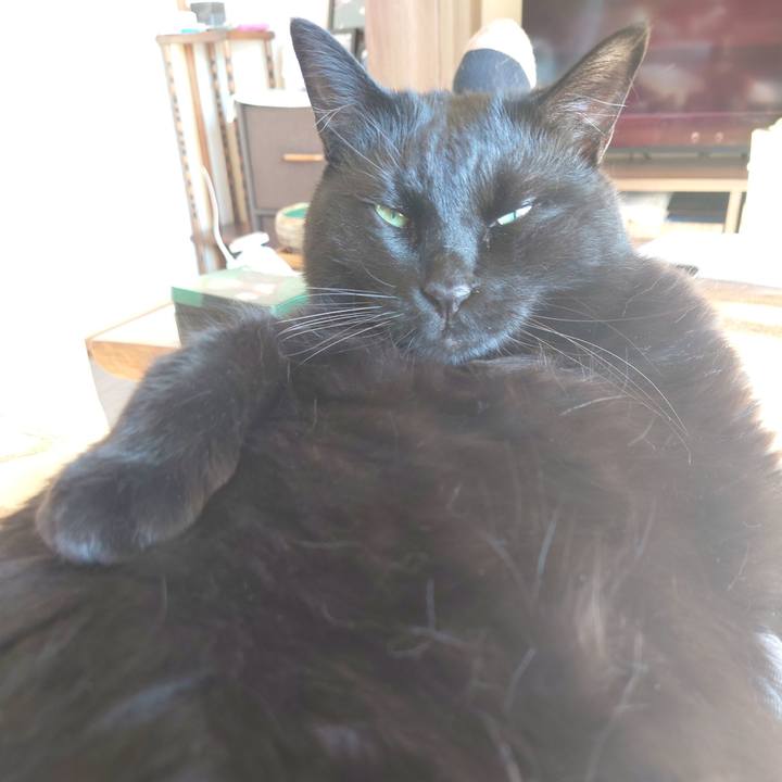 1ea4a3ac db92 4c17 b797 233044e74483 1732420942239