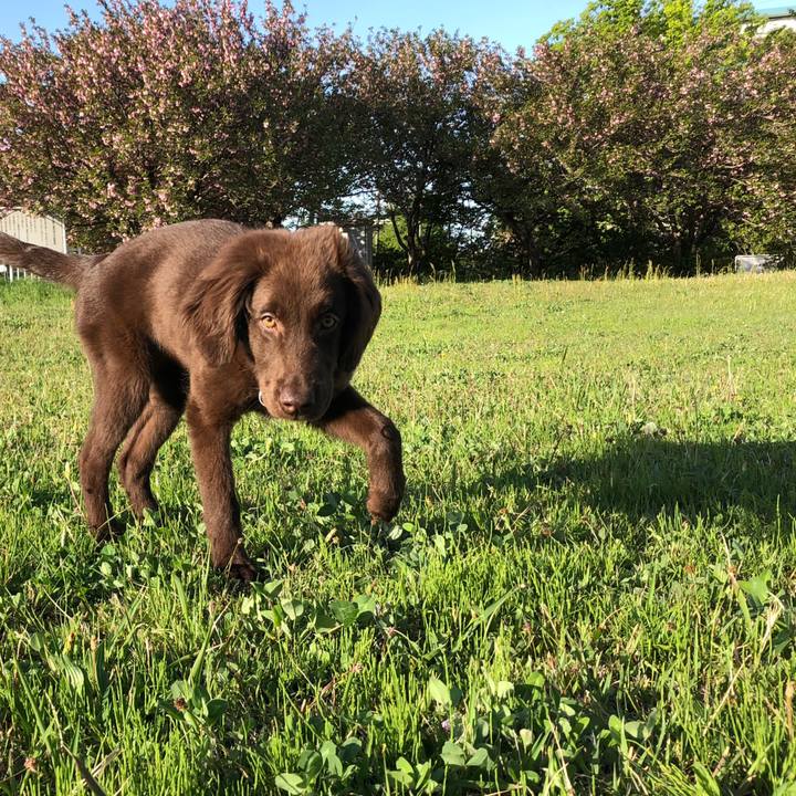 1ea4c815 9e57 48d6 a5b6 c288af3ccd01 1556407611157