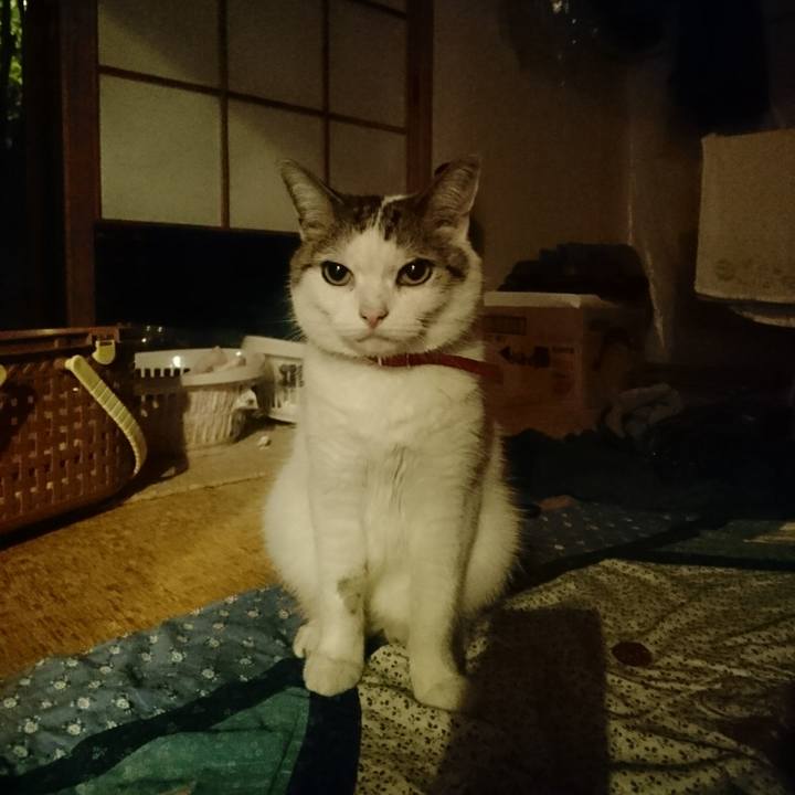 1ea4c82a f1e2 4594 a6f0 2dee47fe431f 1531233261264