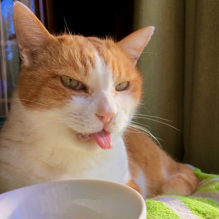 1ea4cce8 691e 461a b5c2 8896be1a1098 1611641975646