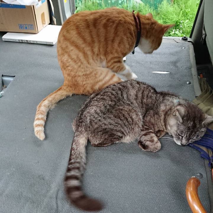 1ea4d702 7c82 46bb 9e5e f68877040c86 1563615331902