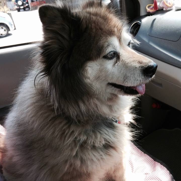 1ea4eb16 1d67 427d 9583 9dddec28eb4f 1598217581476