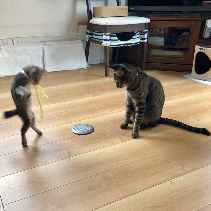 1ea50624 25c4 4f42 be17 a76709307b7c 1528971690854