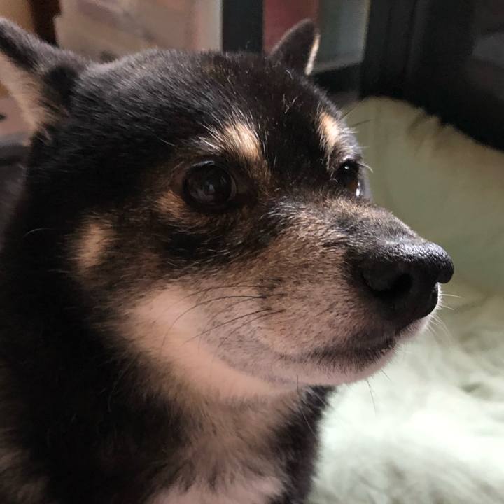 1ea56b41 5686 4352 8f2f f14e22e49b62 1595480192176