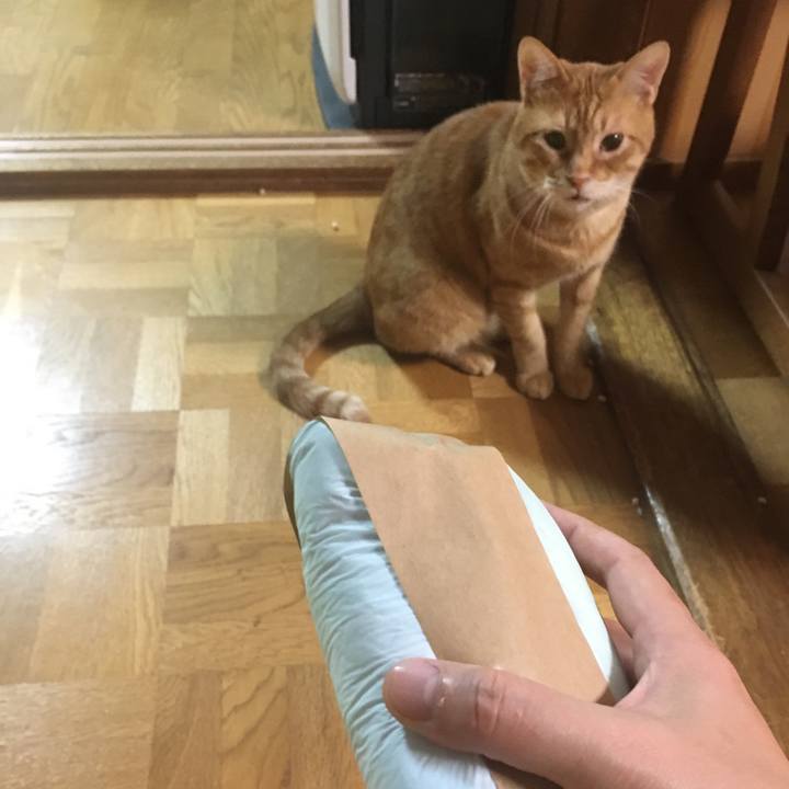 1ea5798a b90c 4b06 b6fa 16fdfa040b60 1532430269563