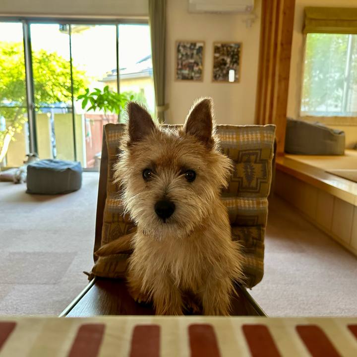 1ea580b6 b35d 4eb6 b015 45c391458509 1718176636849