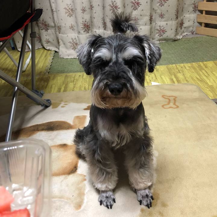 1ea5be37 4c67 49b9 ae8e 1916c165caed 1560518058925