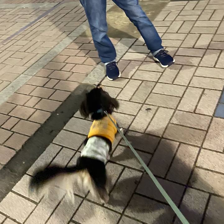 1ea5cbc3 ce05 4160 bc7c d6ac6531333d 1726271397197