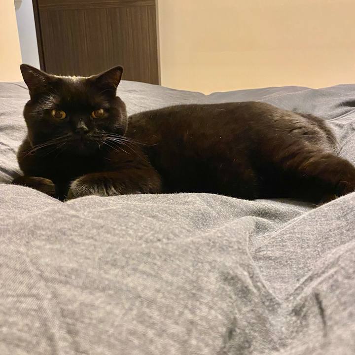 1ea5e529 6601 4c71 8d84 0533f2b80697 1666185647971