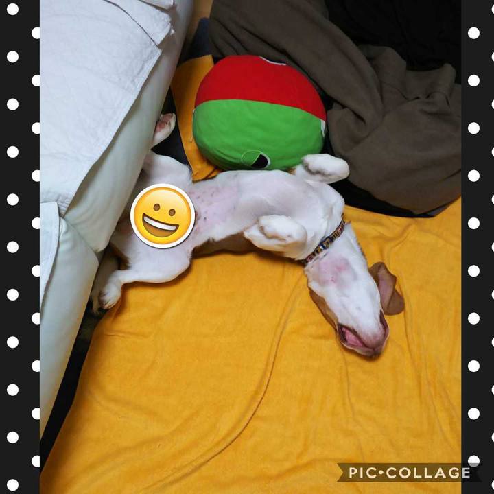 1ea5f234 425d 4e0a 916a 931ae5663302 1561590339134