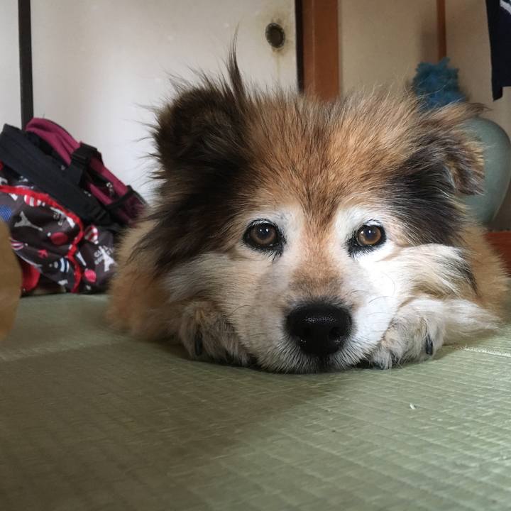 1ea61c03 f2af 4d9f b7a9 11f9b5f9829b 1549408138842