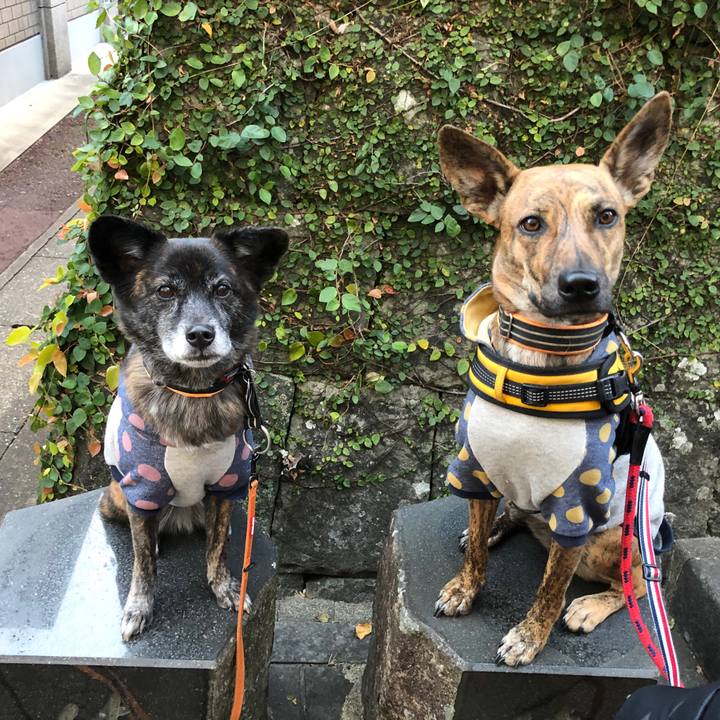 1ea65579 bc07 4767 afe0 b7ee58fcf8b8 1608595442521