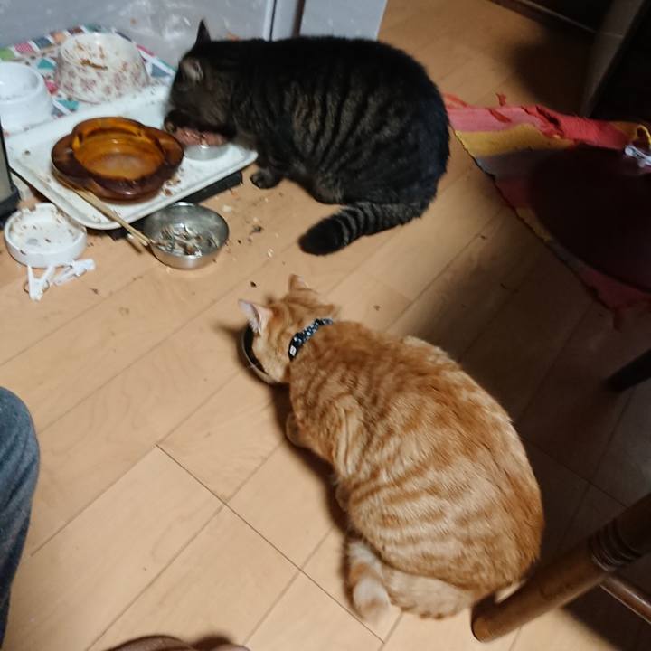 1ea66aa8 6f3a 4f94 b14d a2cde7e1baf0 1638391065262