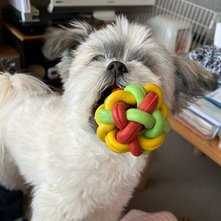 1ea6982e 84e8 47ee be16 bb6bcc21f520 1651738798257