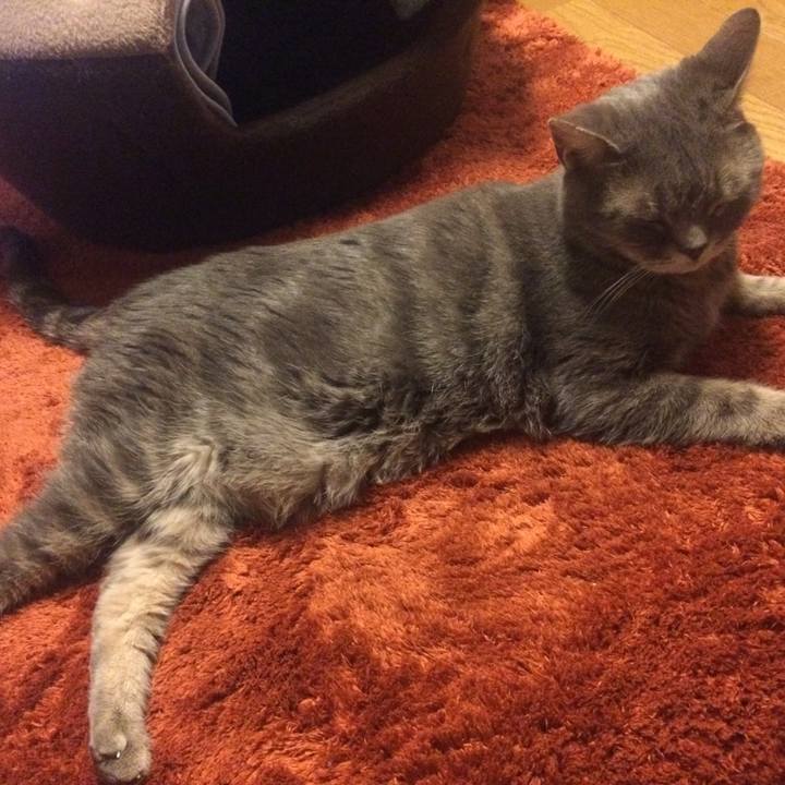 1ea69881 0d90 4d81 b7f9 a0173cad0740 1514138357195