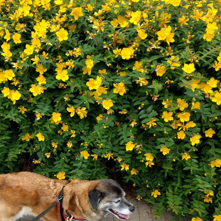 1ea69e4a 6123 45c2 9e93 3824a0e33a22 1527554030937